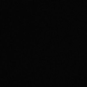 Meet your Posher, Penelope